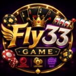 Fly33 Game