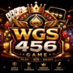 WGS456 Game