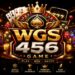 WGS456 Game