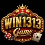 WIN1313 Game